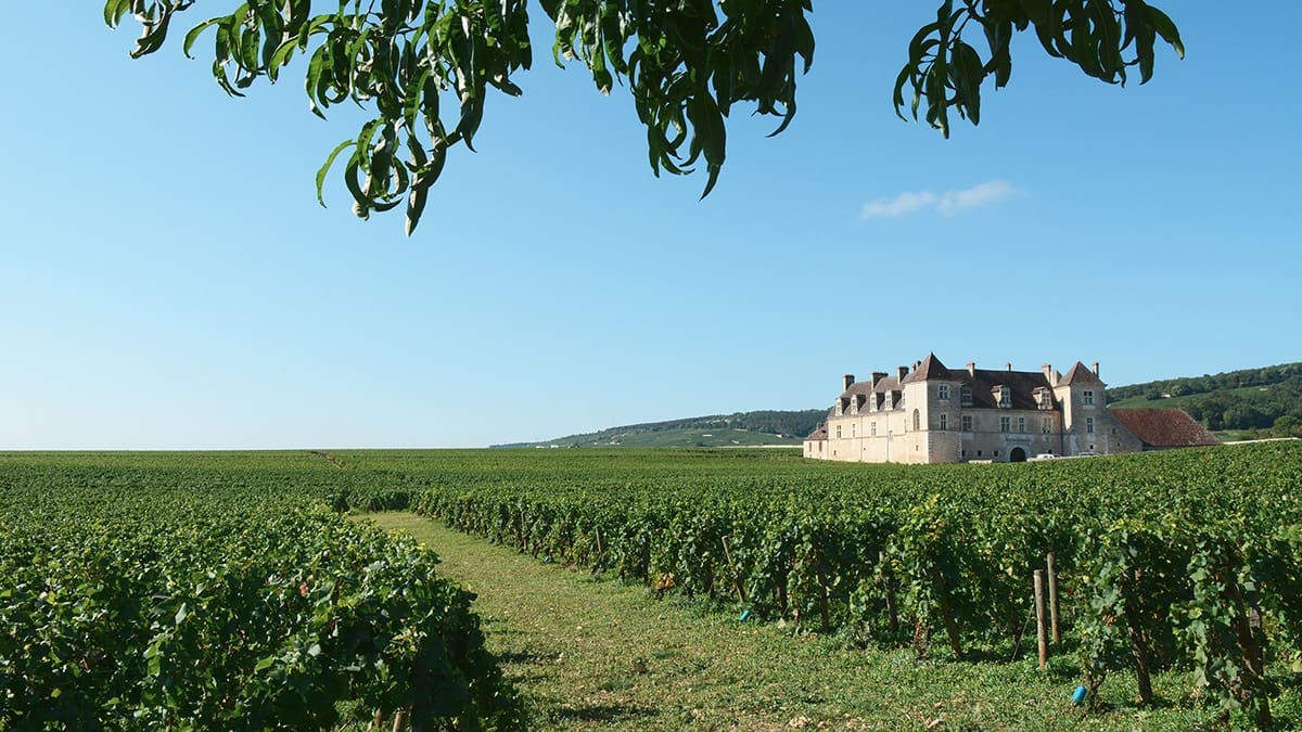 La Côte d'Or j'adore : printemps doré